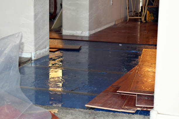 Professional Burst Pipe Cleanup technician working in Lucas, TX